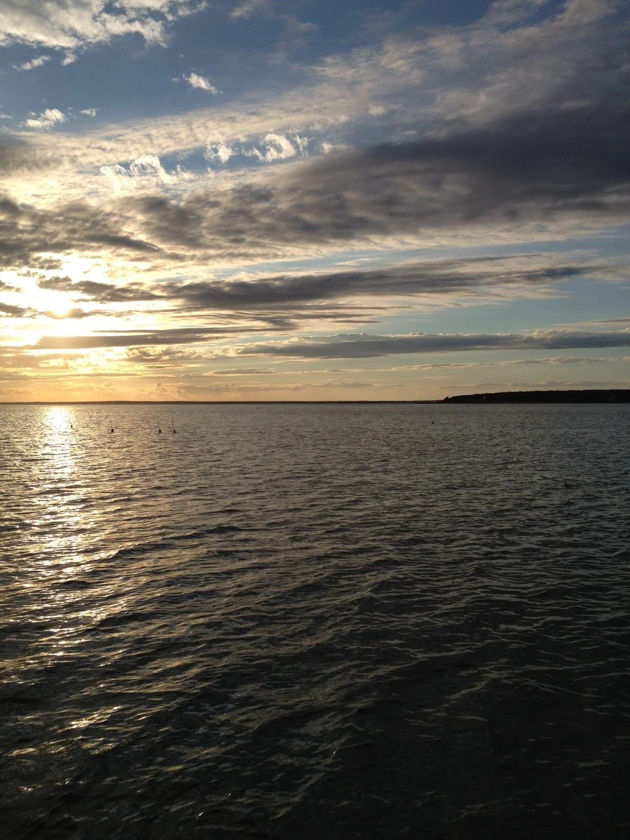 Working the oyster farm in Megansett Harbor