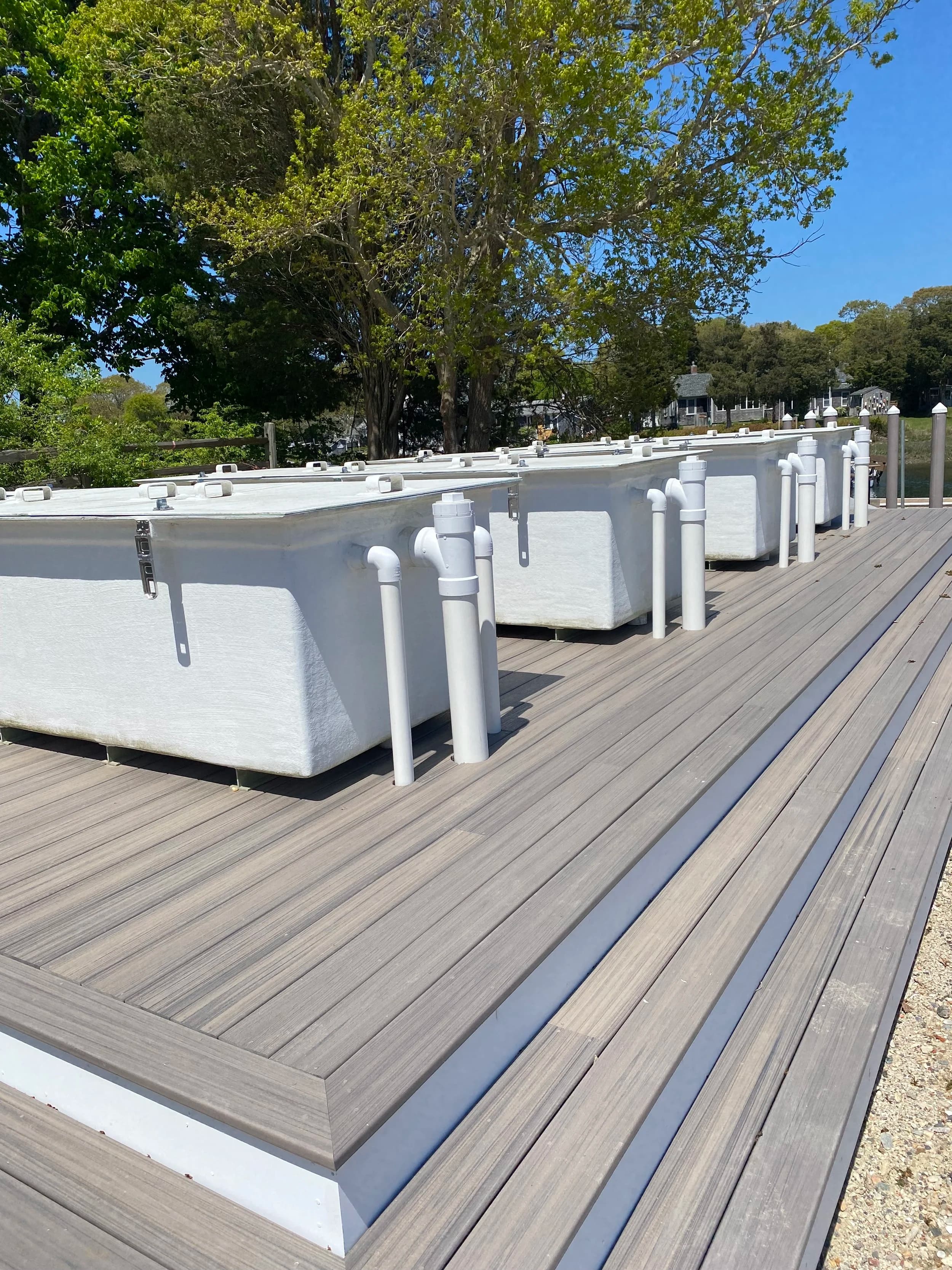 Shellfish culture tanks at the Pocasset hatchery