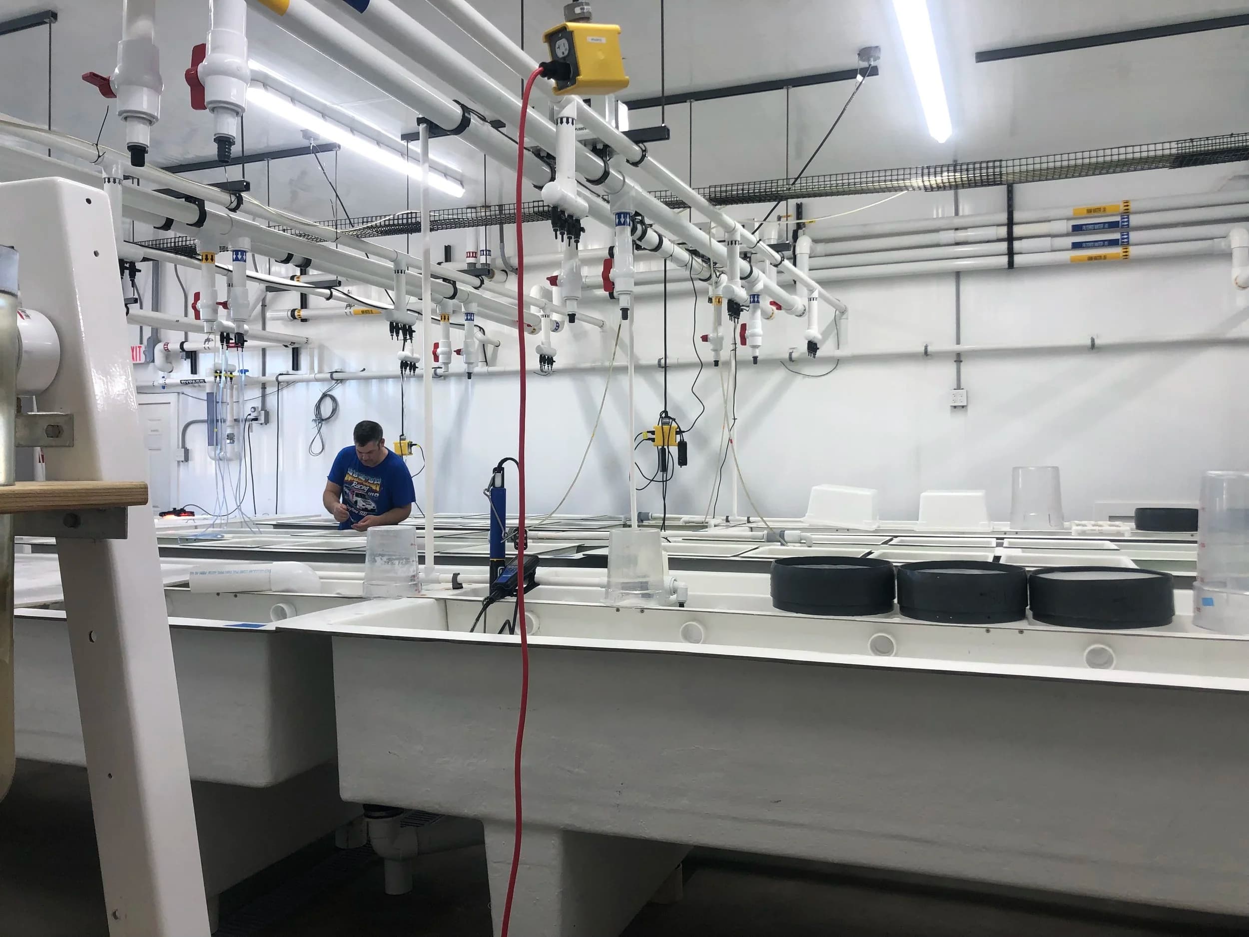 The Scallop Bay Shellfish Co hatchery facility in Pocasset, MA